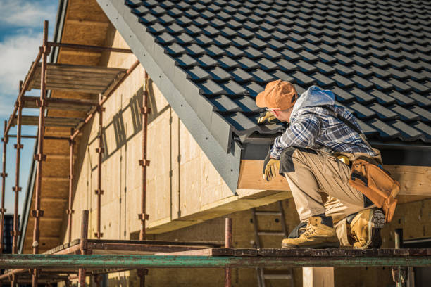 Best Shingle Roofing Installation  in Dland, MI