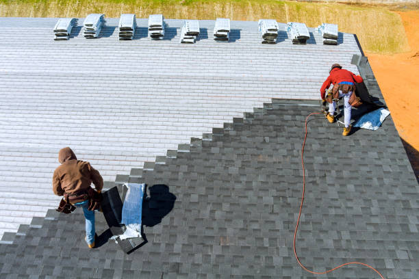 Best Emergency Roof Repair  in Dland, MI