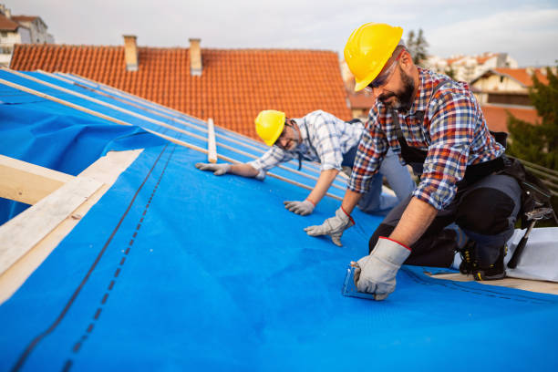 Best Roof Restoration Services  in Dland, MI