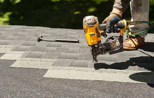 Best Flat Roof Repair Services  in Dland, MI