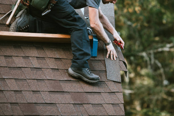 Best Roof Gutter Cleaning  in Dland, MI